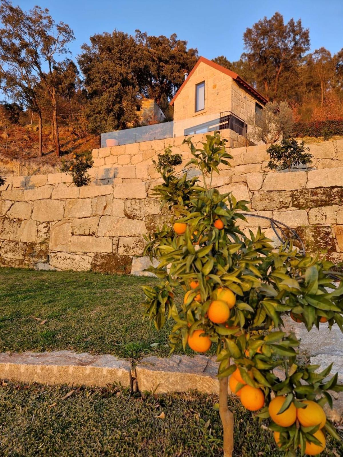 Javardo - Family House - Douro Penha Longa Eksteriør billede